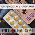 Kamagra Oral Jelly 1 Week Pack 41